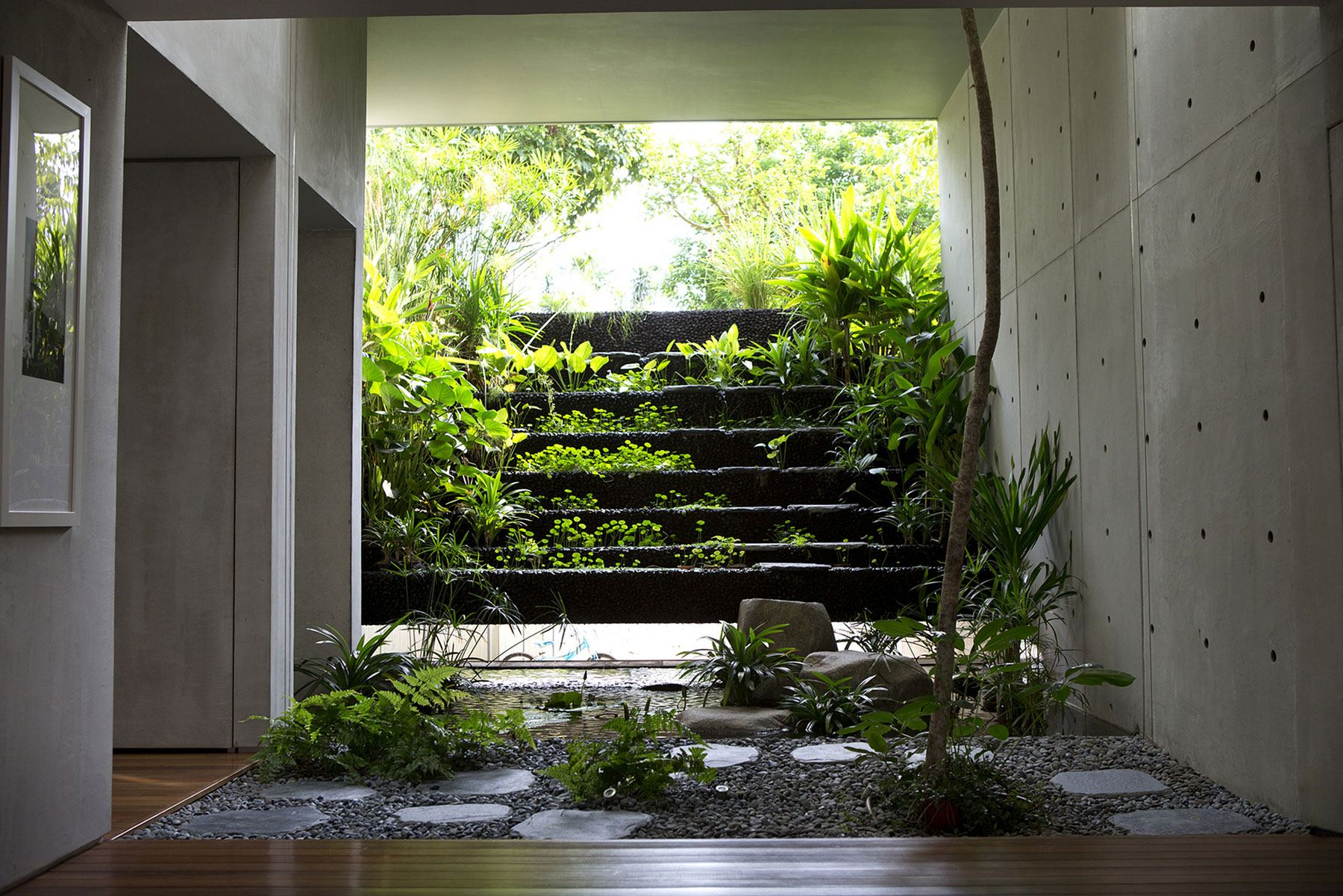 Gambar Taman Dalam Rumah