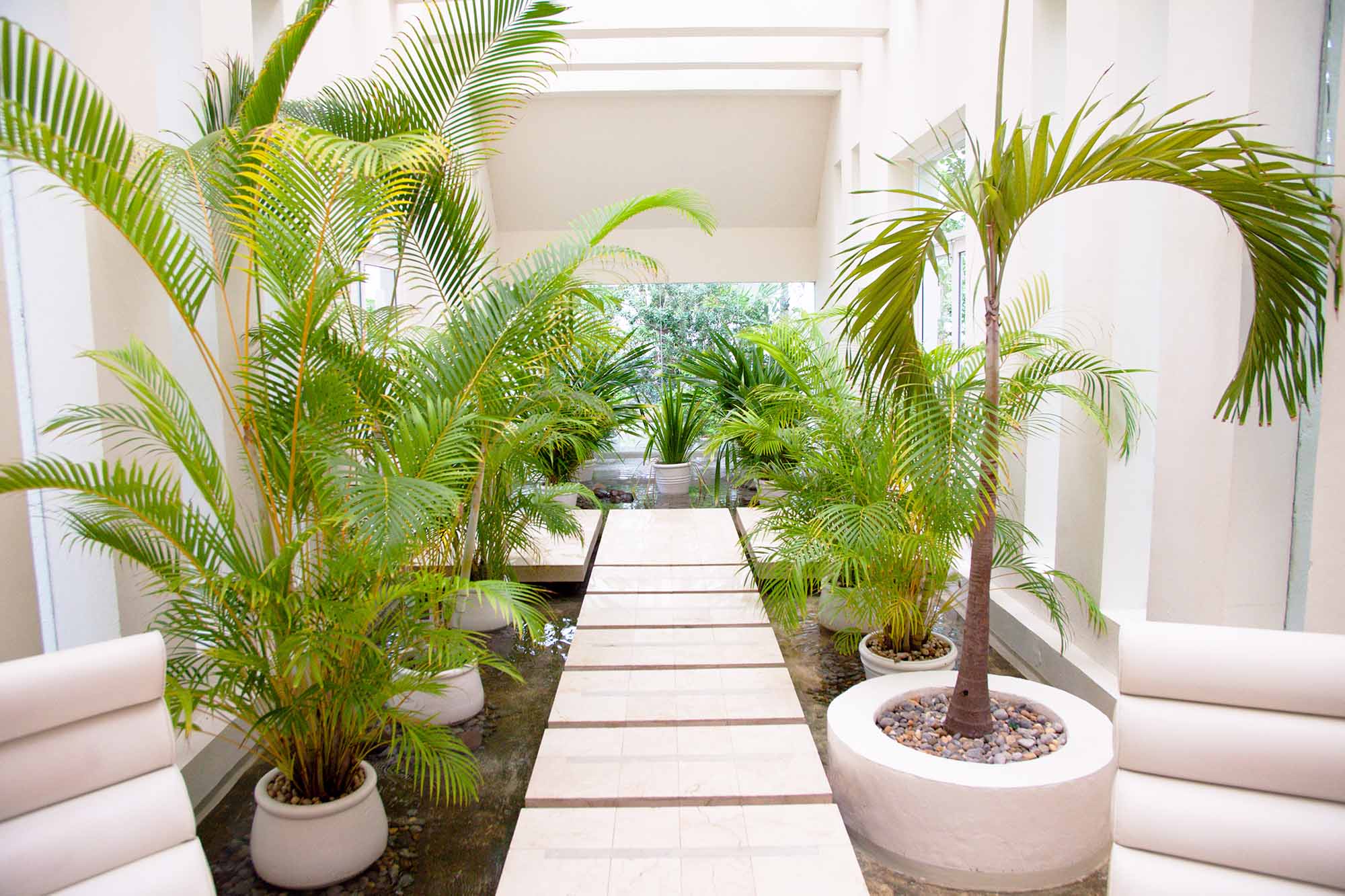Taman Dalam Rumah Ukuran Kecil