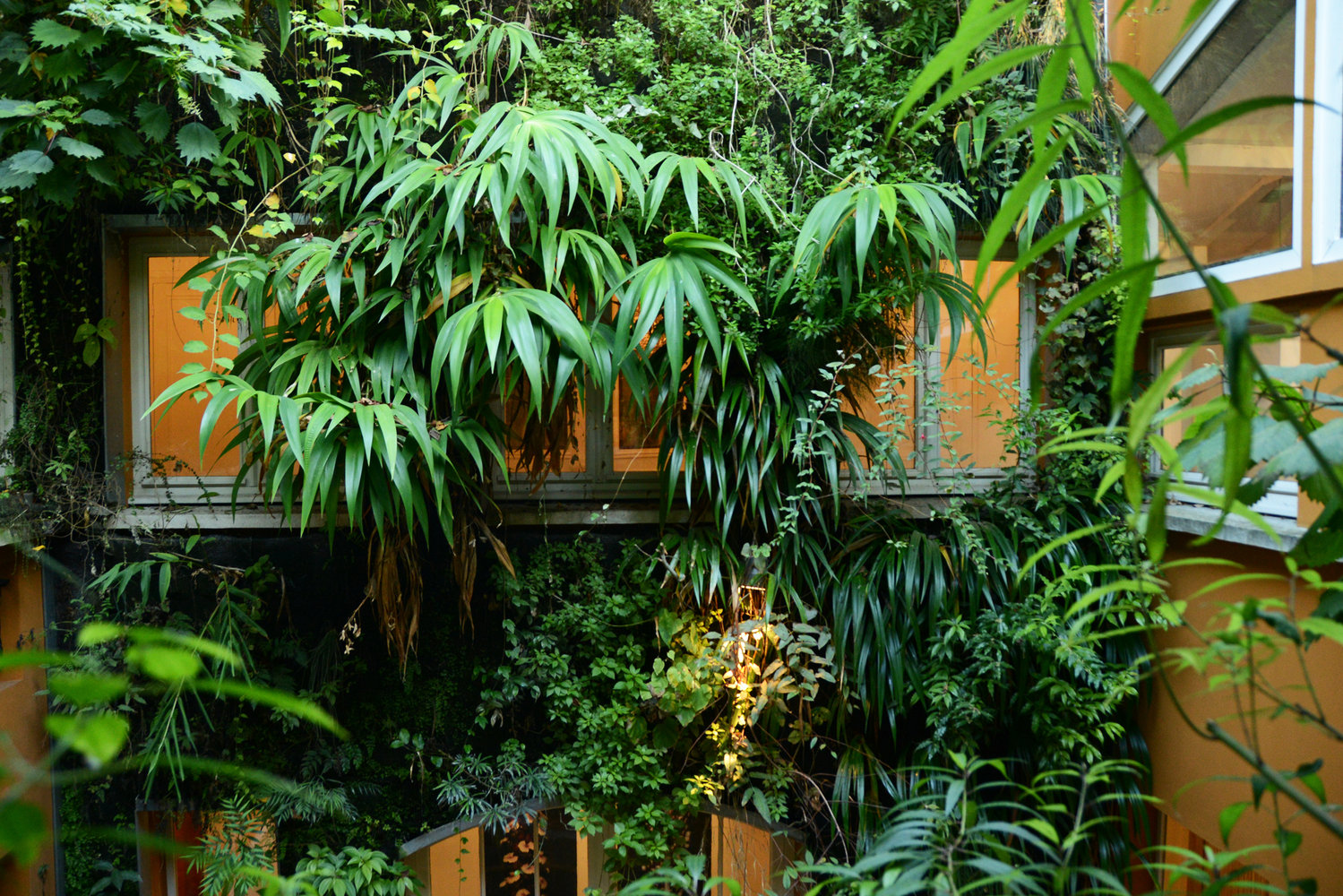 Taman Vertikal Dalam Rumah