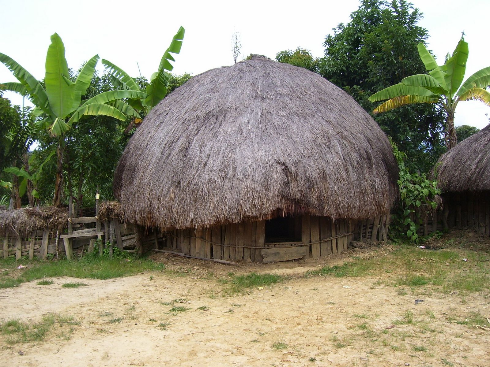 Keunikan Rumah Adat Honai