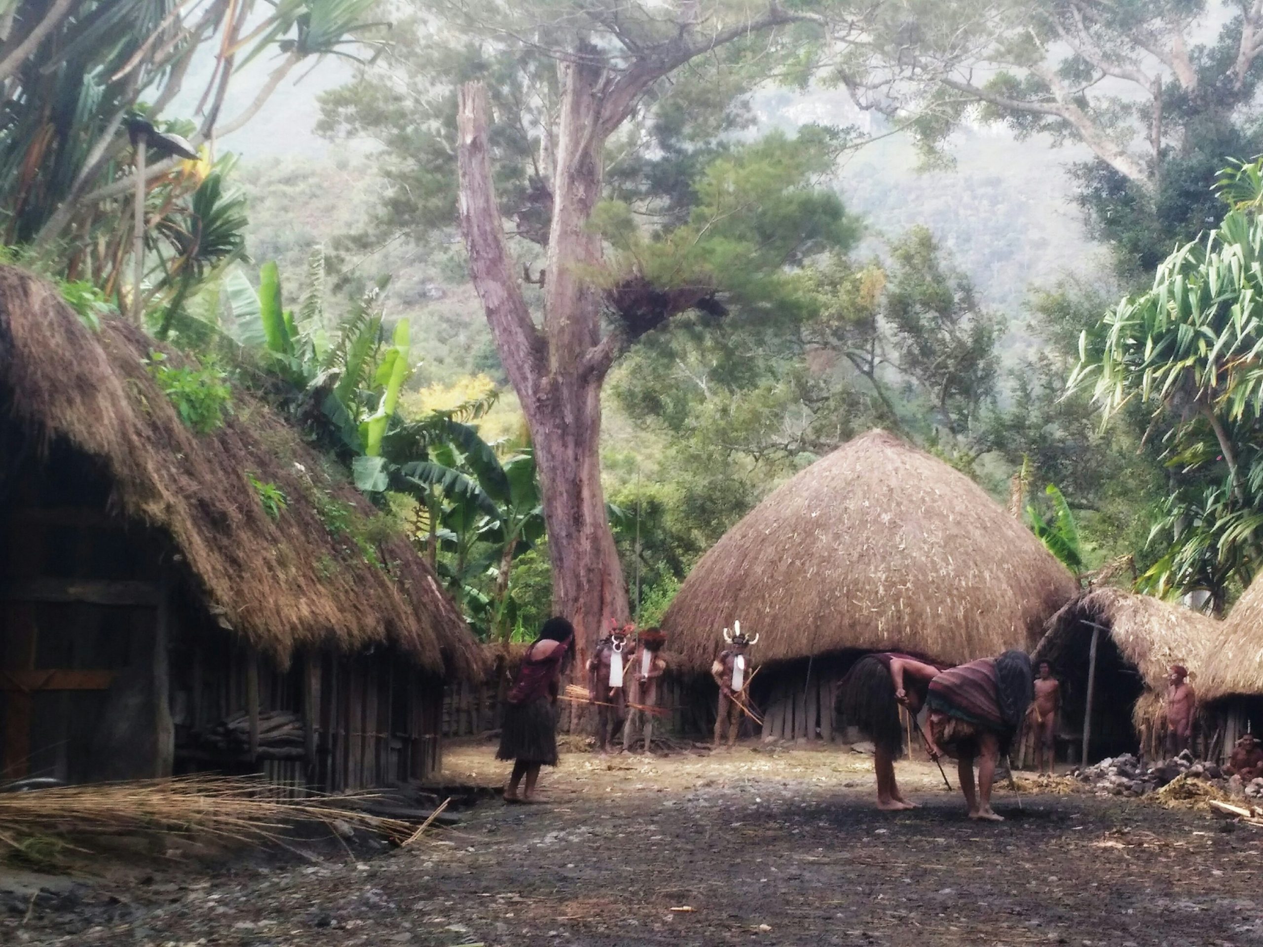 Masyarakat di perkampungan Suku Dani tengah menjalankan aktivitasnya di siang hari