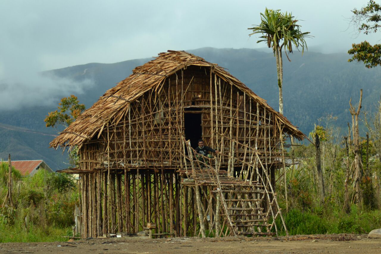 Rumah Adat Khas Teluk Cendrawasih Lgkojei