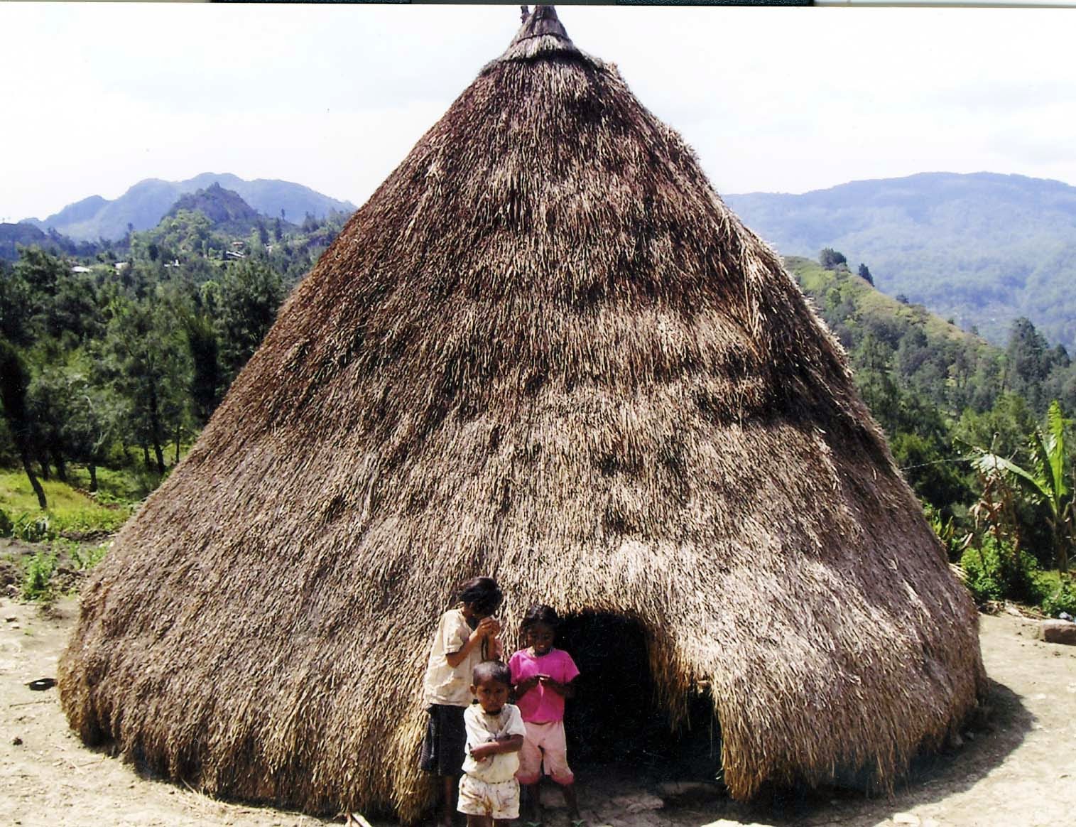 Rumah Khas NTT Musalaki