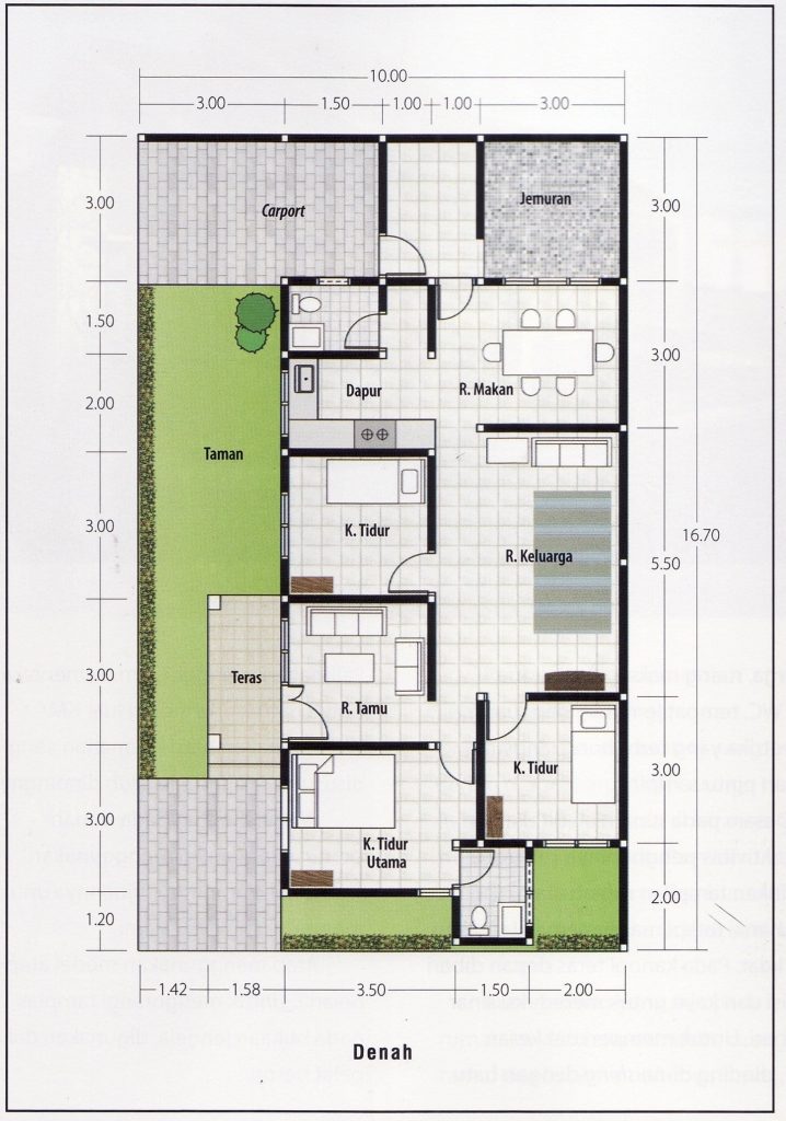 Desain Rumah 8x10 dengan Taman Luas dan Teras